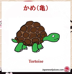 Animals in Japanese [Flashcards]